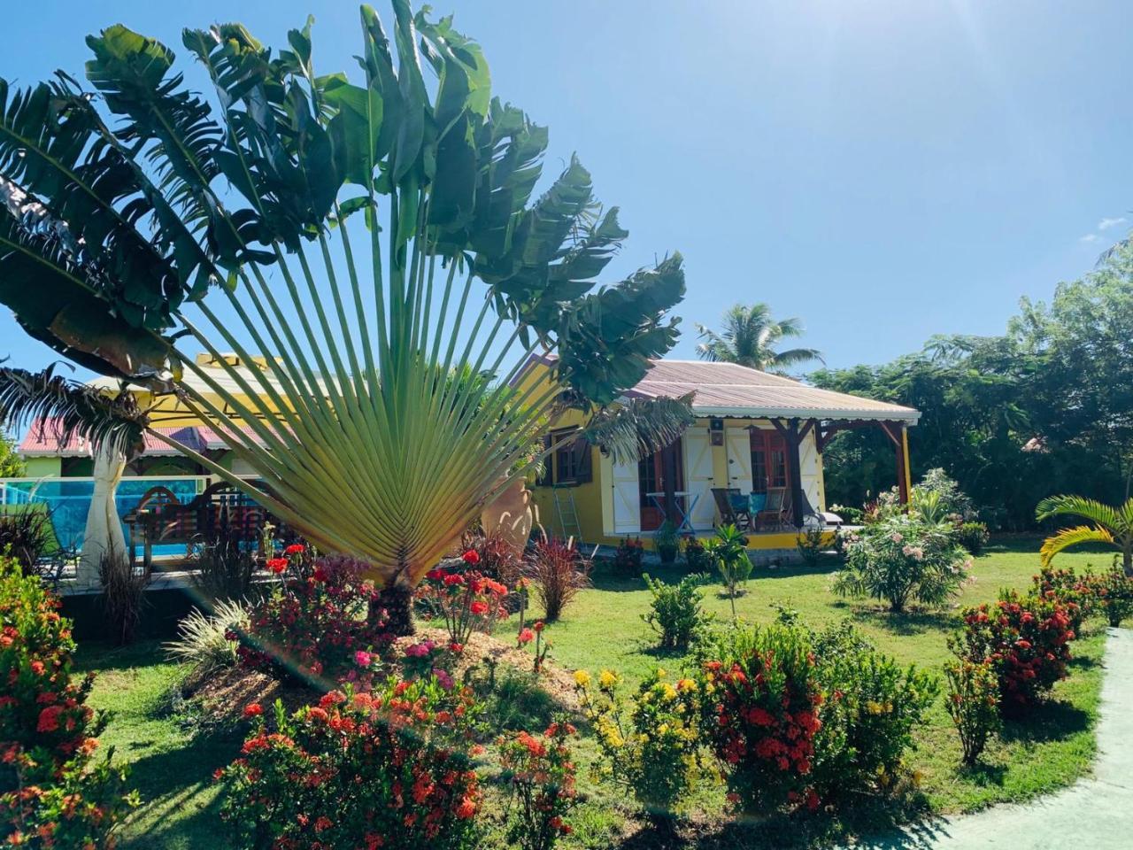 Вилла Les Palmes Du Moulin Saint-Louis Экстерьер фото