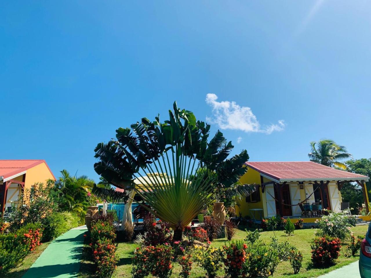 Вилла Les Palmes Du Moulin Saint-Louis Экстерьер фото